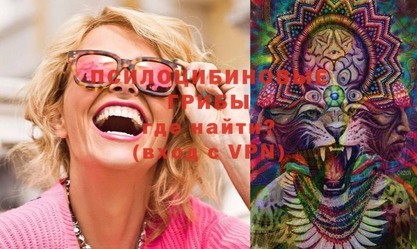 ешки Верхний Тагил