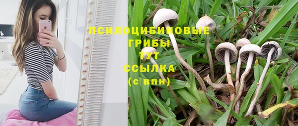 эйфоретик Богородицк